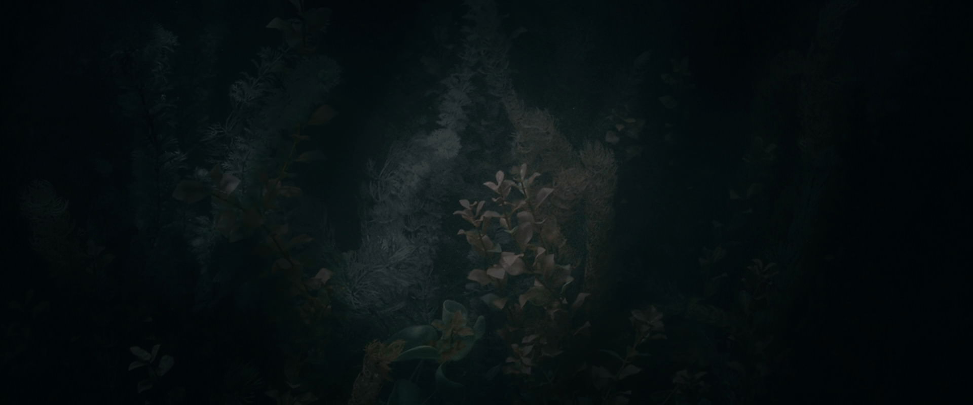The Lord of the Rings: The Fellowship of the Ring (2001) screencap 492