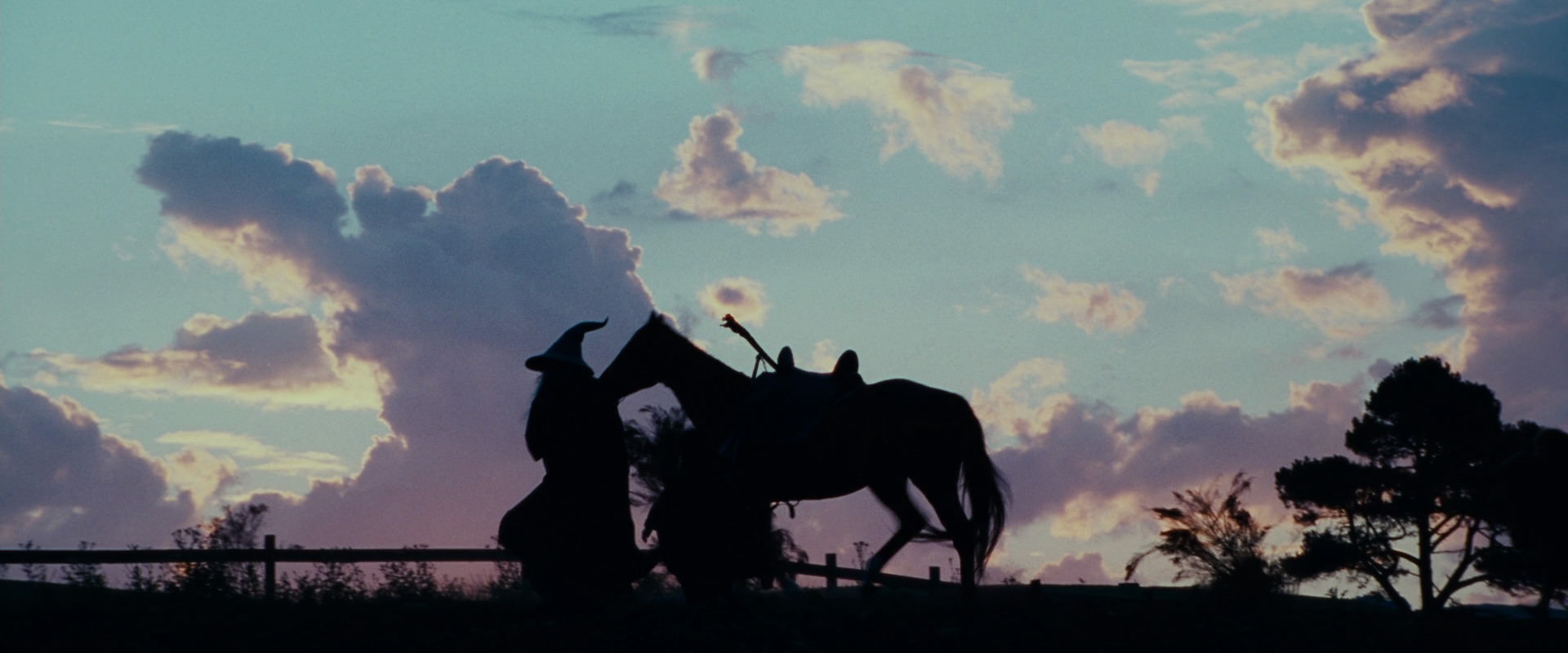 The Lord of the Rings: The Fellowship of the Ring (2001) HD screenshot 4925