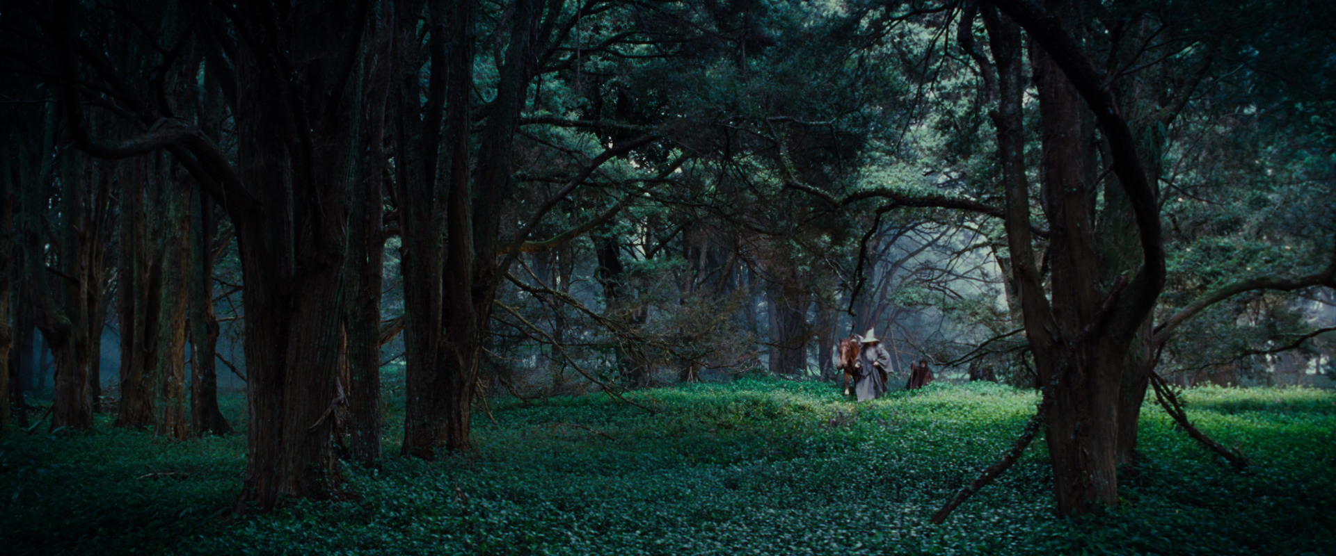 The Lord of the Rings: The Fellowship of the Ring (2001) HD screenshot 4931