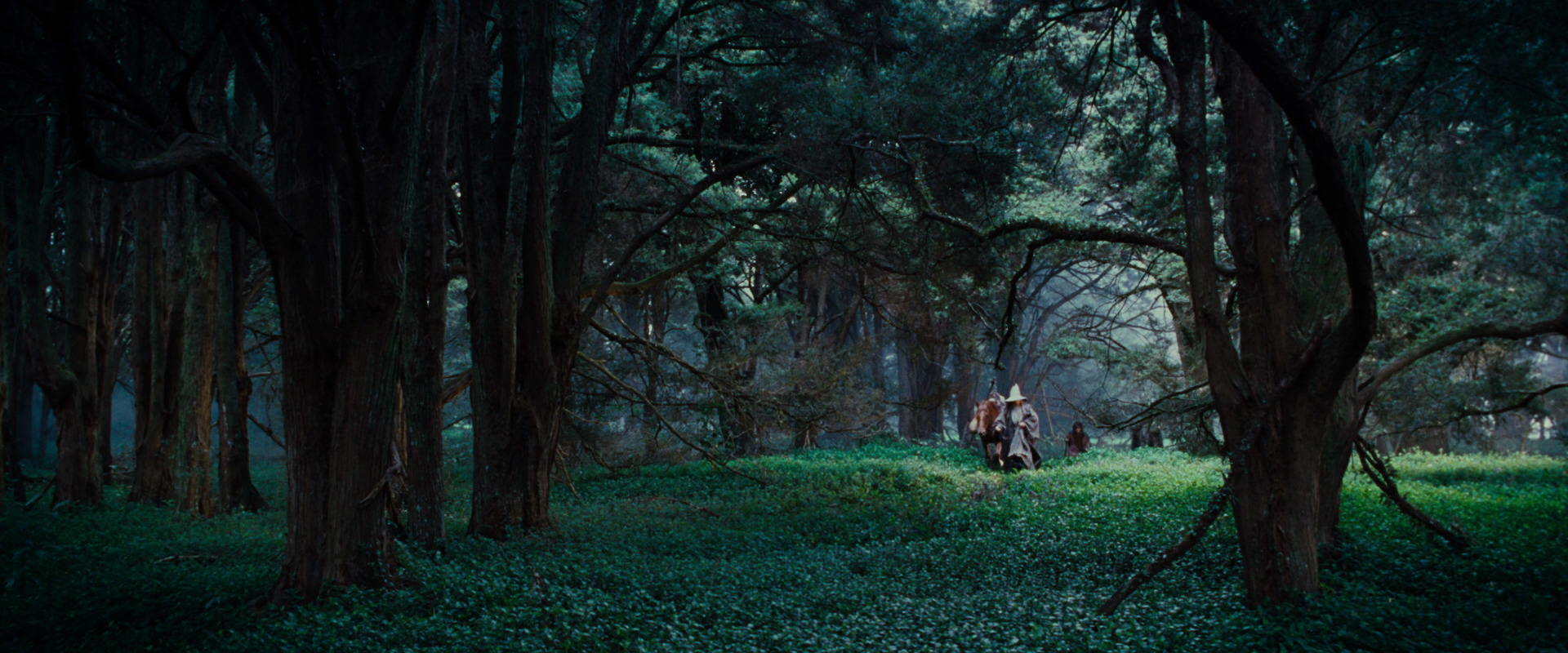 The Lord of the Rings: The Fellowship of the Ring (2001) screencap 4932