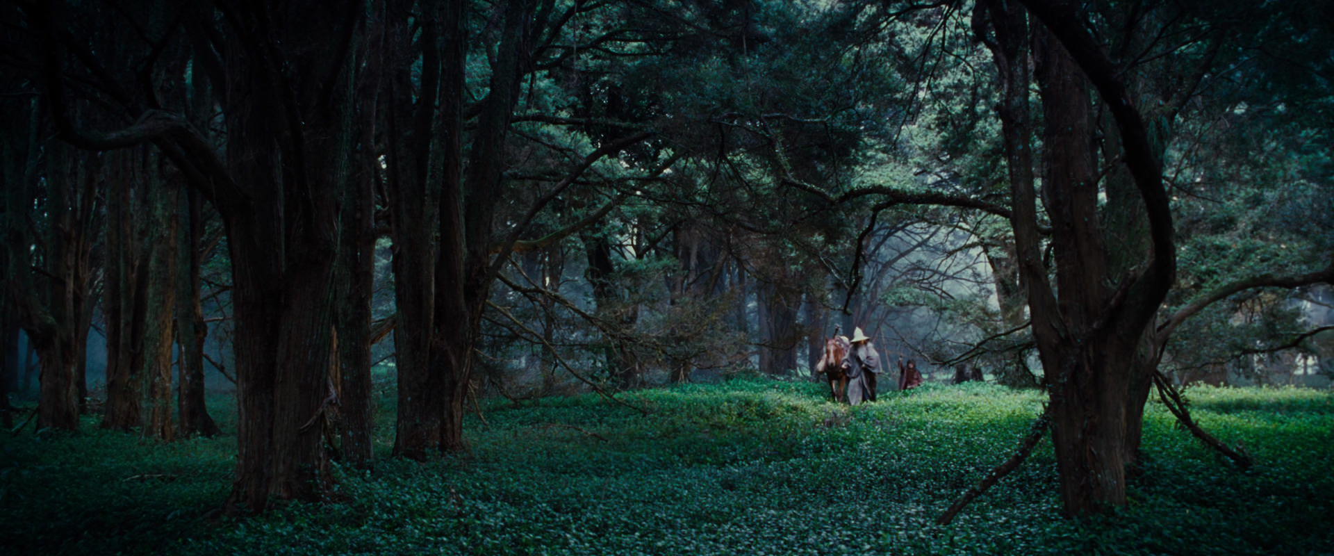 The Lord of the Rings: The Fellowship of the Ring (2001) movie still 4933