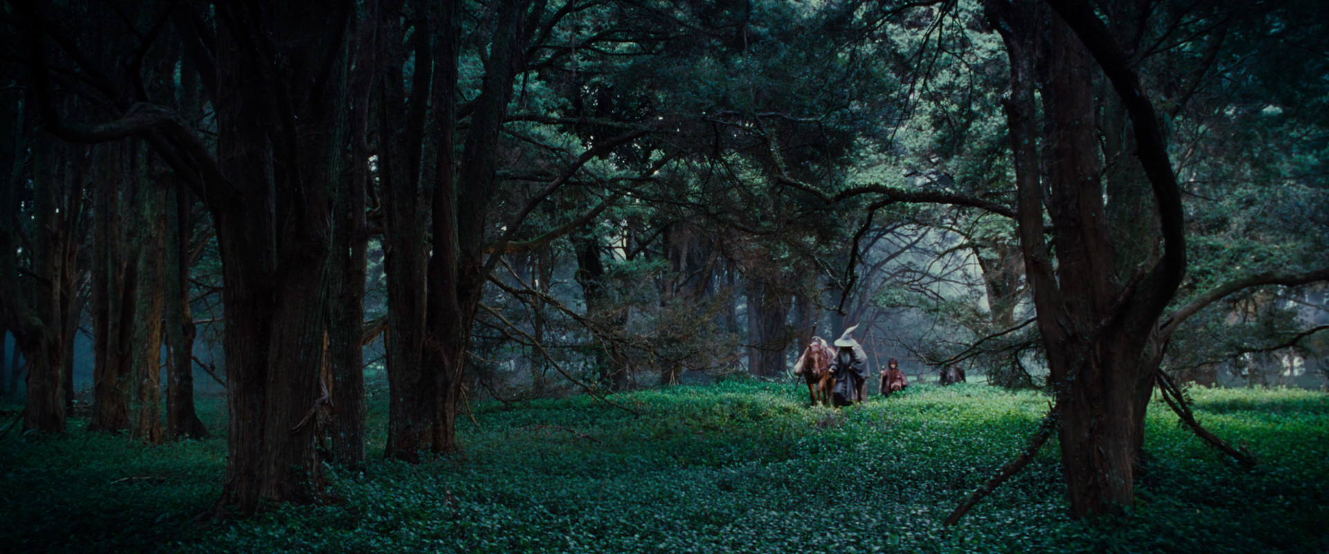 The Lord of the Rings: The Fellowship of the Ring (2001) screencap 4935