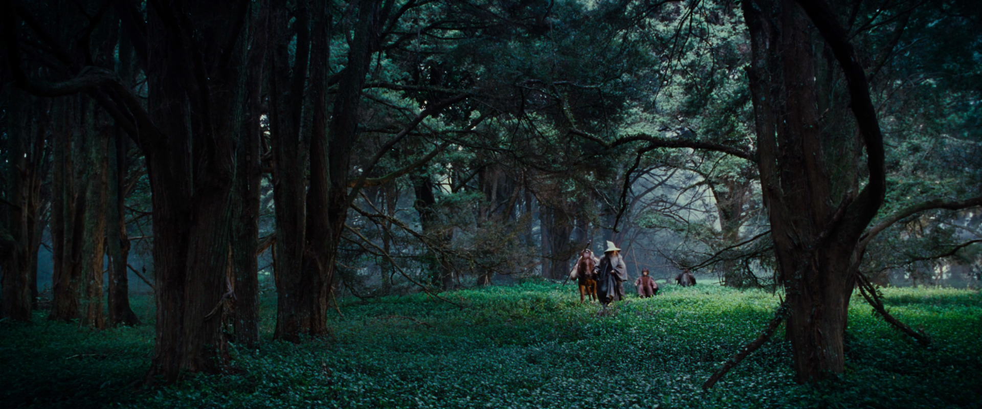 The Lord of the Rings: The Fellowship of the Ring (2001) HD screenshot 4937