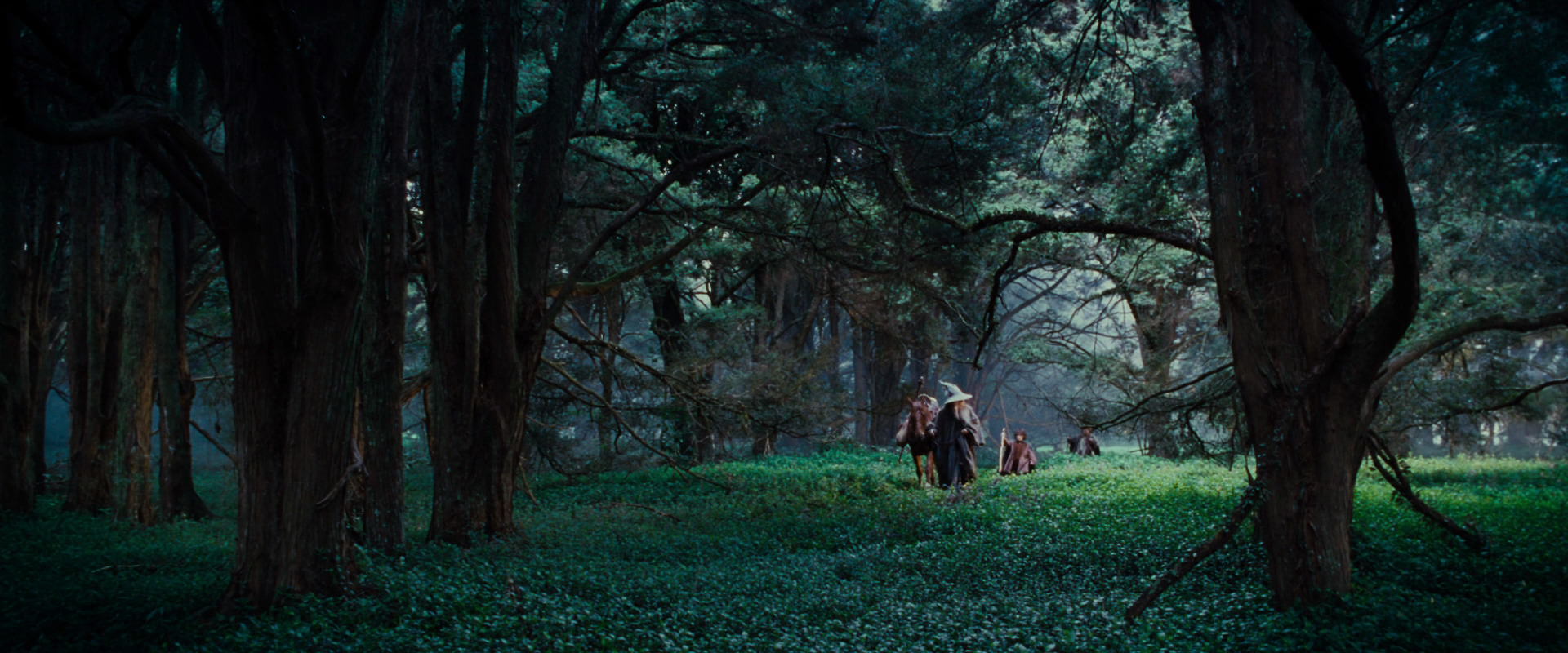 The Lord of the Rings: The Fellowship of the Ring (2001) screencap 4938