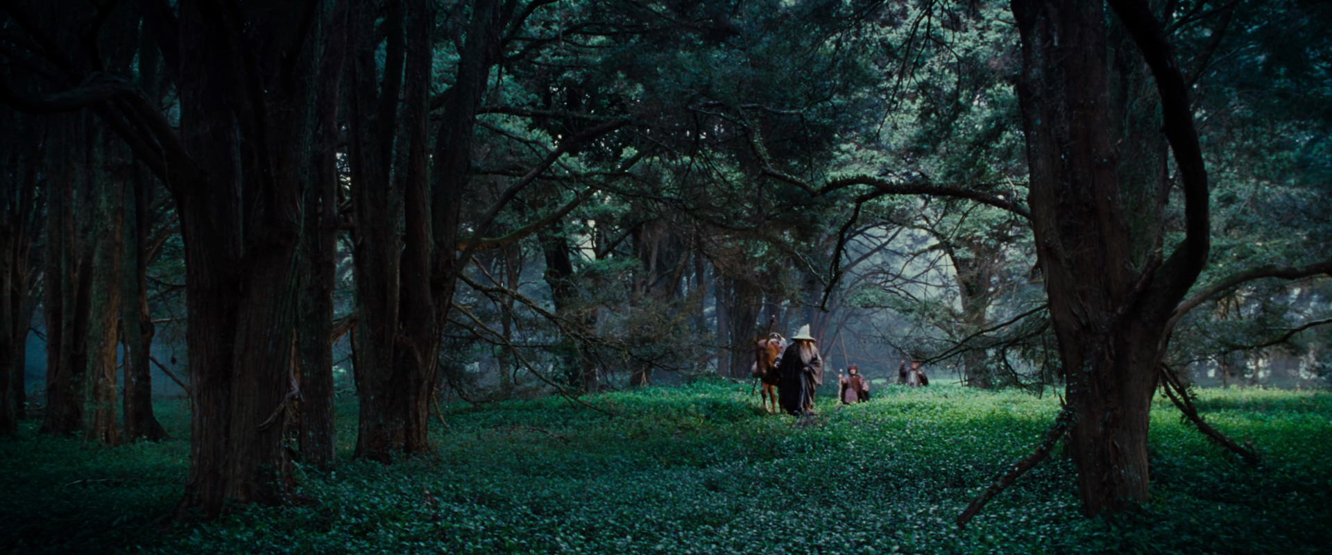 The Lord of the Rings: The Fellowship of the Ring (2001) movie still 4939