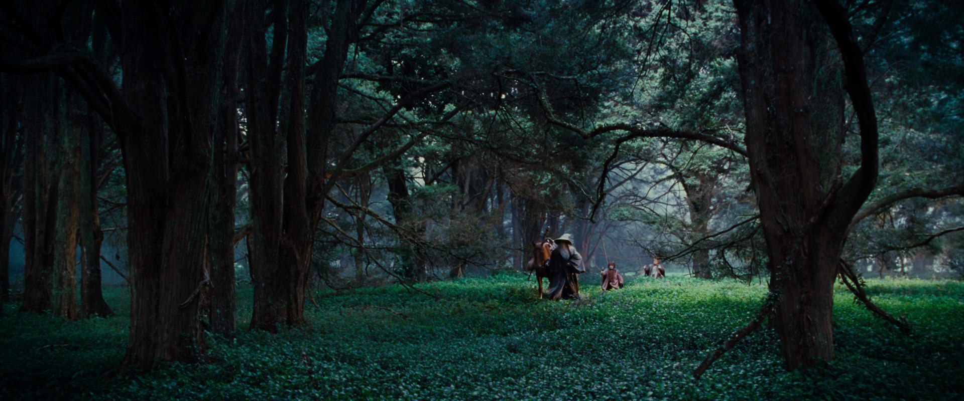 The Lord of the Rings: The Fellowship of the Ring (2001) HD screenshot 4940