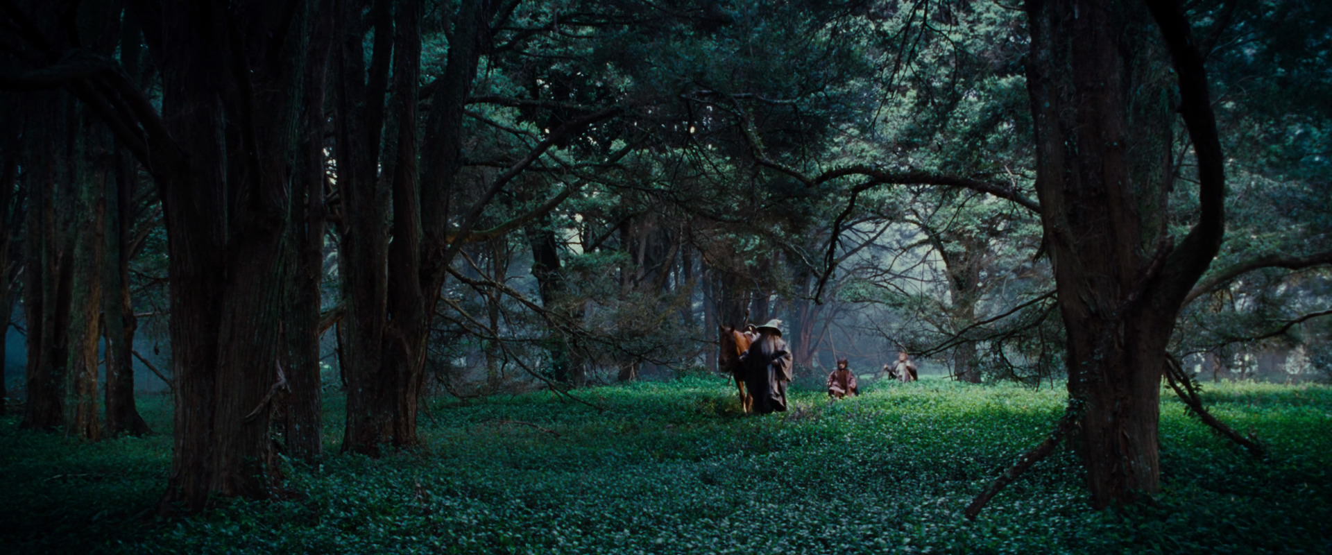 The Lord of the Rings: The Fellowship of the Ring (2001) screencap 4941