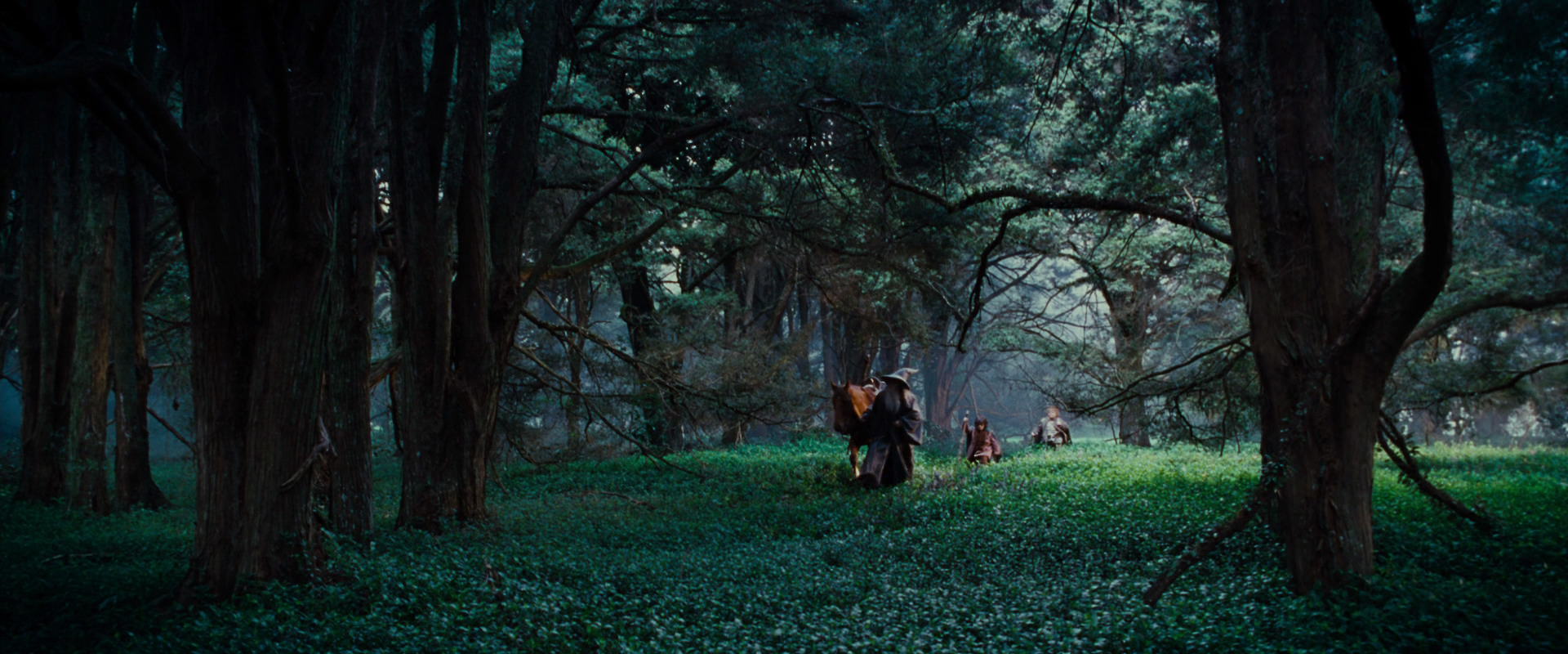 The Lord of the Rings: The Fellowship of the Ring (2001) movie still 4942