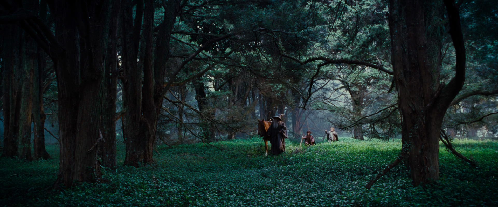 The Lord of the Rings: The Fellowship of the Ring (2001) HD screenshot 4943