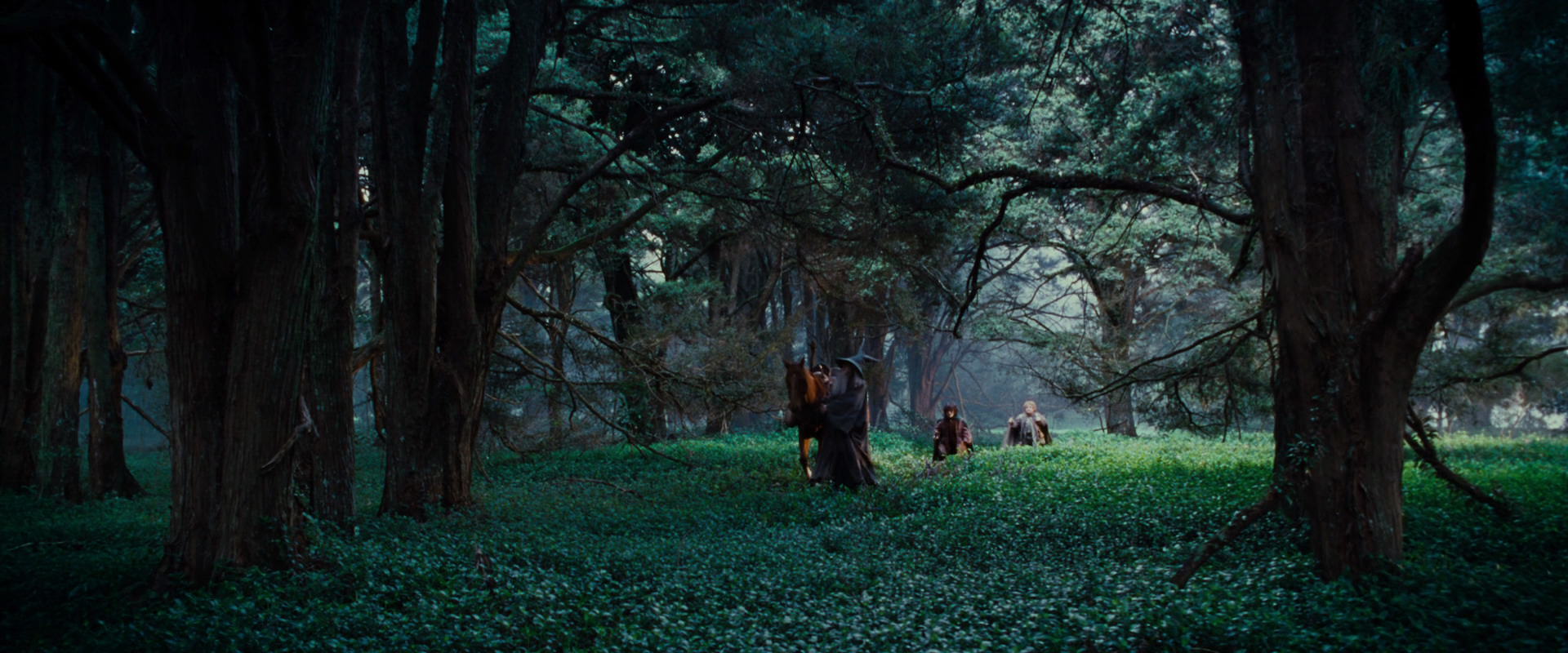 The Lord of the Rings: The Fellowship of the Ring (2001) movie still 4945