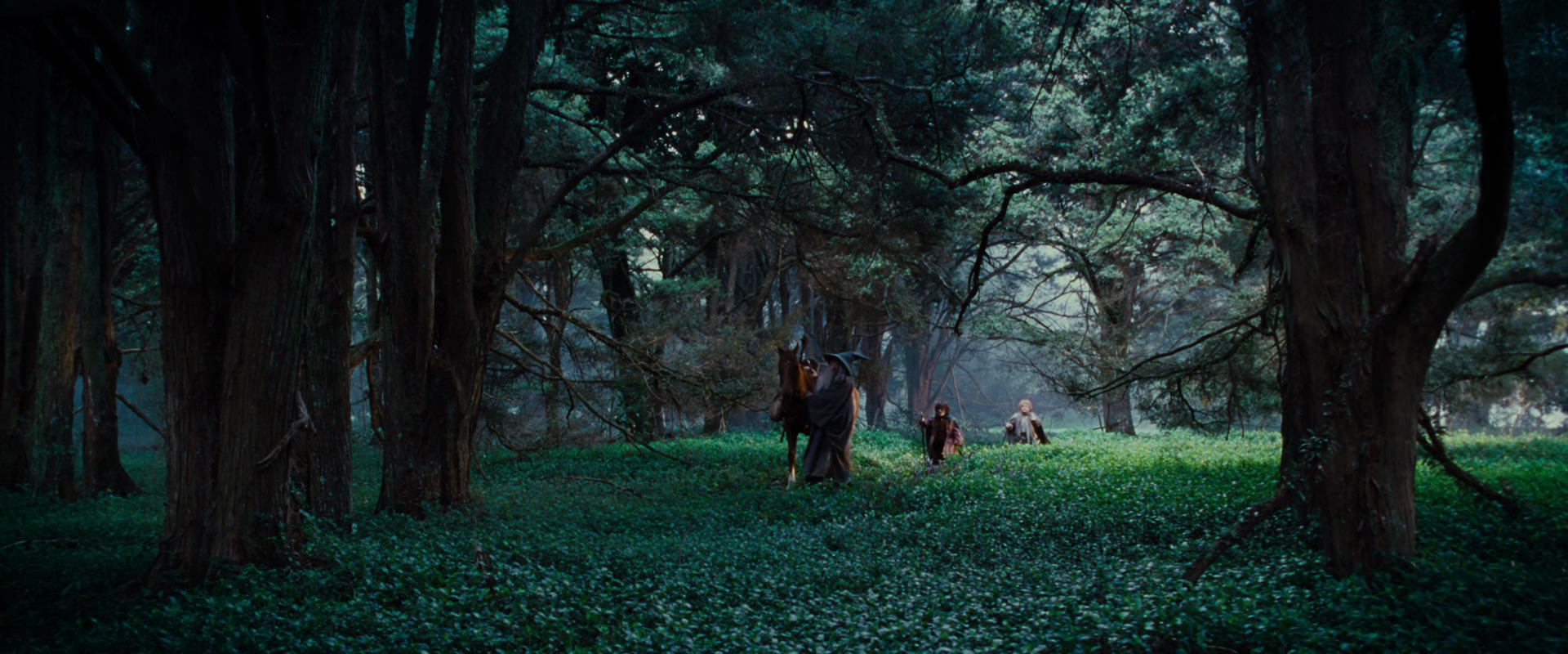 The Lord of the Rings: The Fellowship of the Ring (2001) HD screenshot 4946