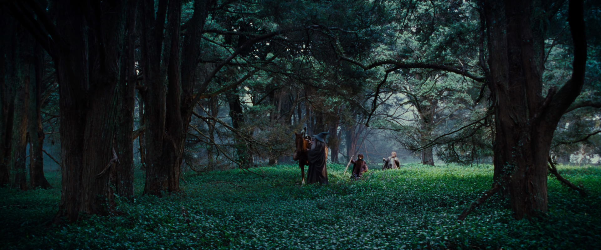 The Lord of the Rings: The Fellowship of the Ring (2001) screencap 4947