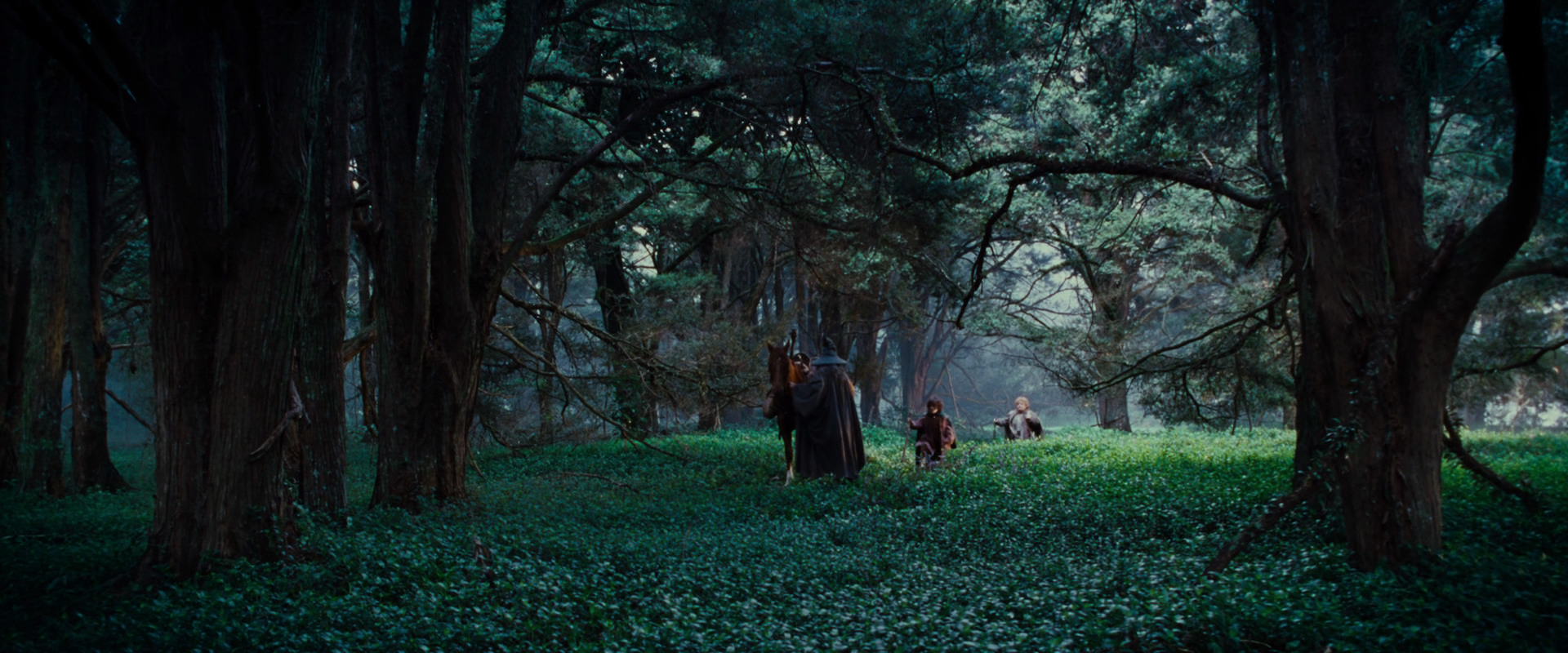 The Lord of the Rings: The Fellowship of the Ring (2001) movie still 4948