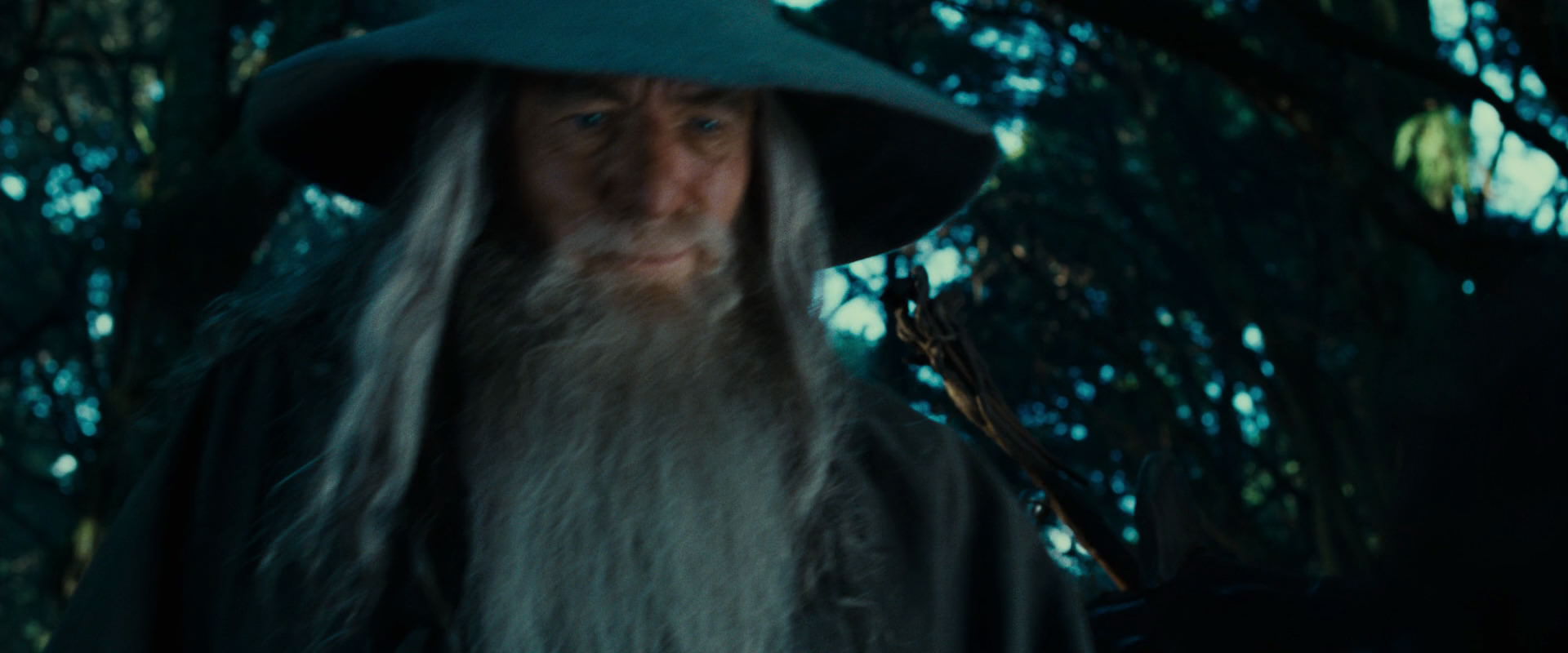 The Lord of the Rings: The Fellowship of the Ring (2001) HD screenshot 4949