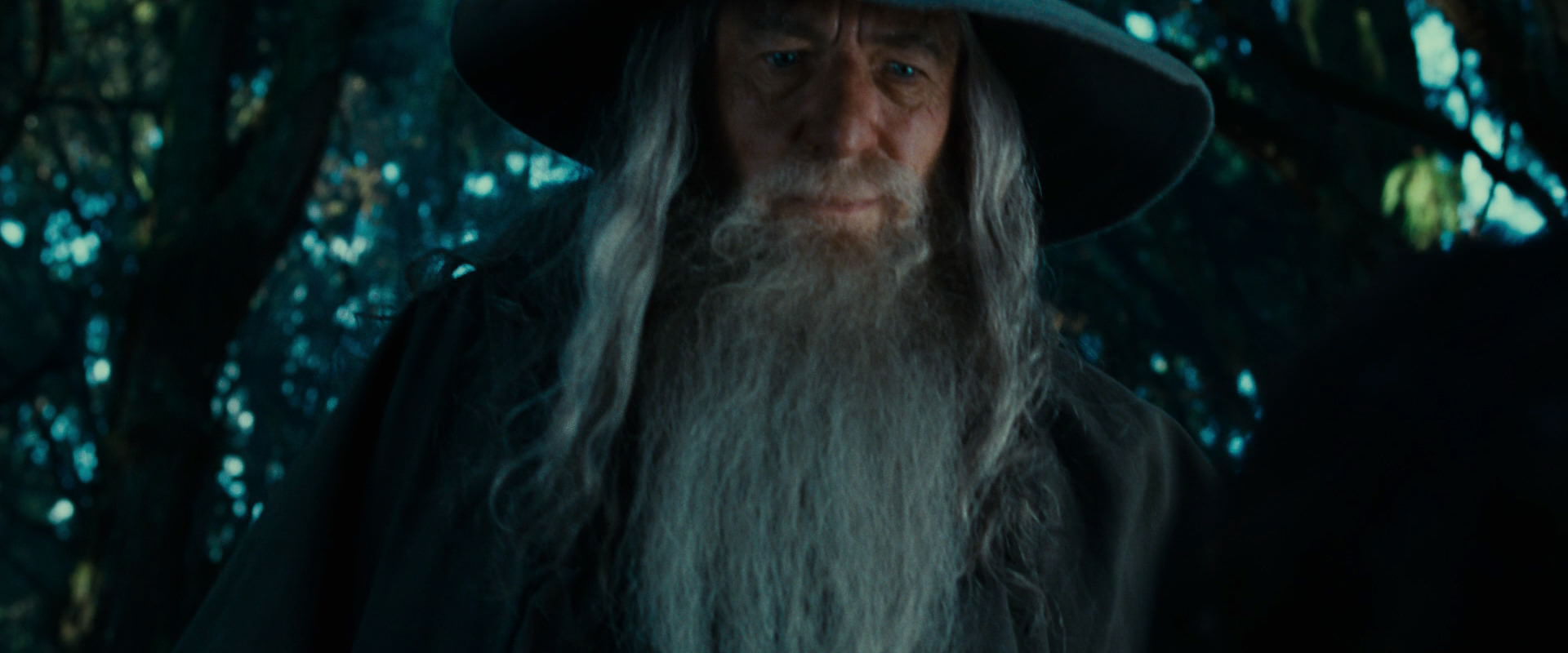 The Lord of the Rings: The Fellowship of the Ring (2001) screencap 4950