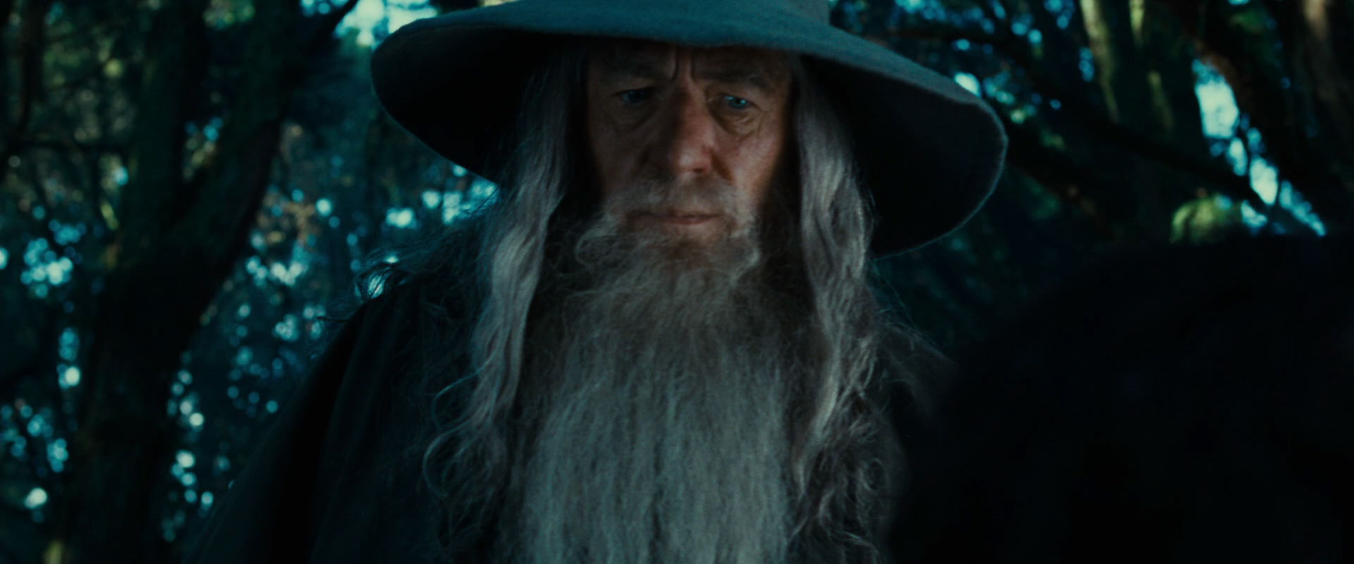 The Lord of the Rings: The Fellowship of the Ring (2001) movie still 4951