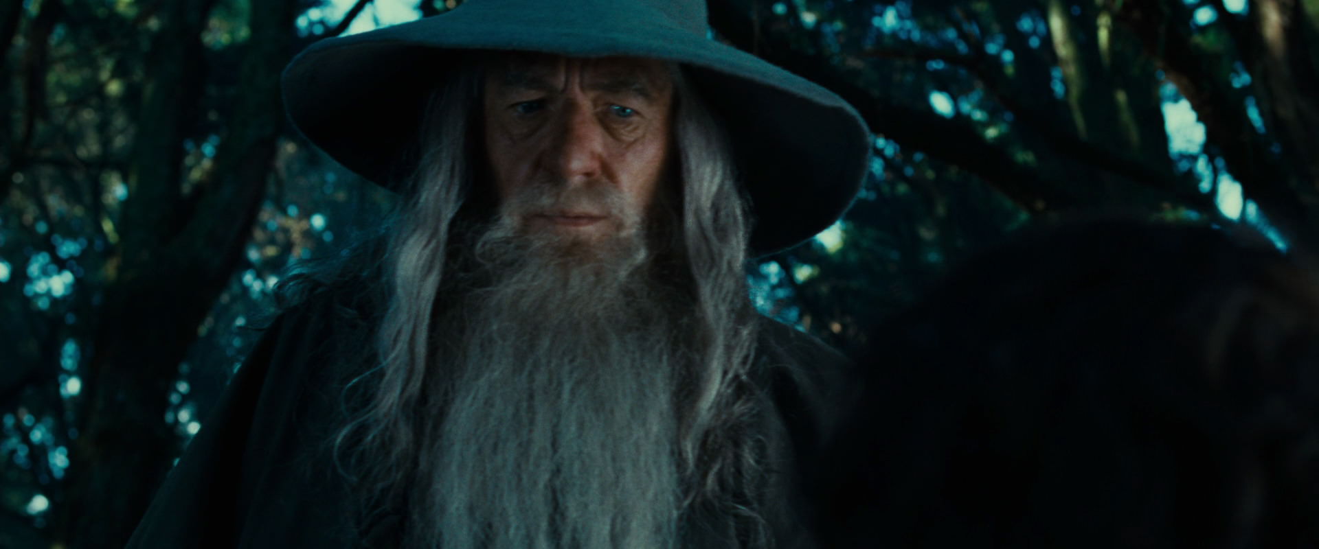The Lord of the Rings: The Fellowship of the Ring (2001) HD screenshot 4952