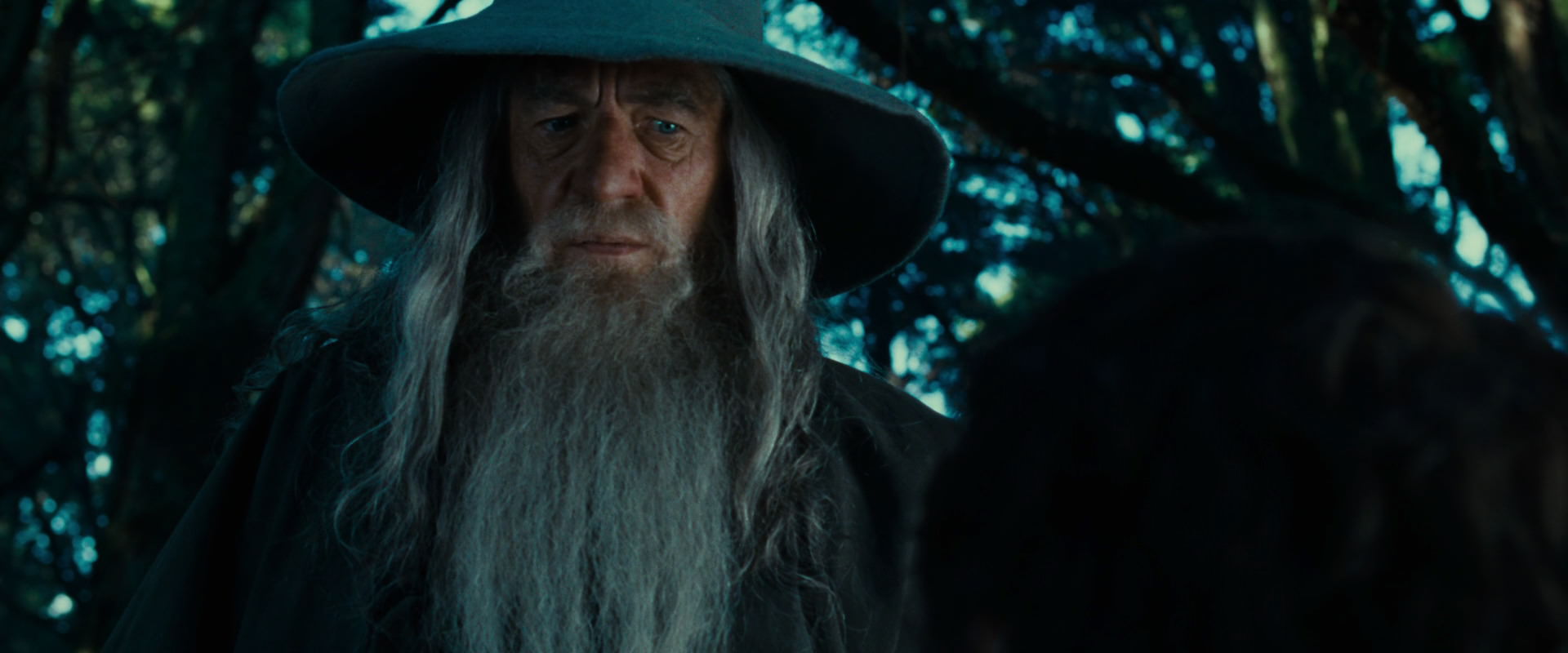 The Lord of the Rings: The Fellowship of the Ring (2001) screencap 4953