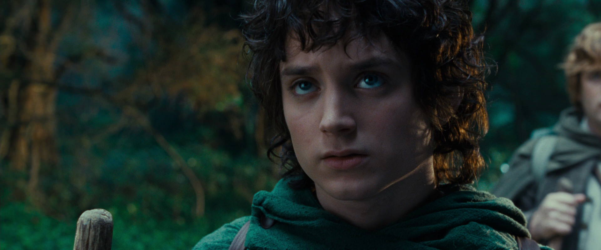 The Lord of the Rings: The Fellowship of the Ring (2001) movie still 4954