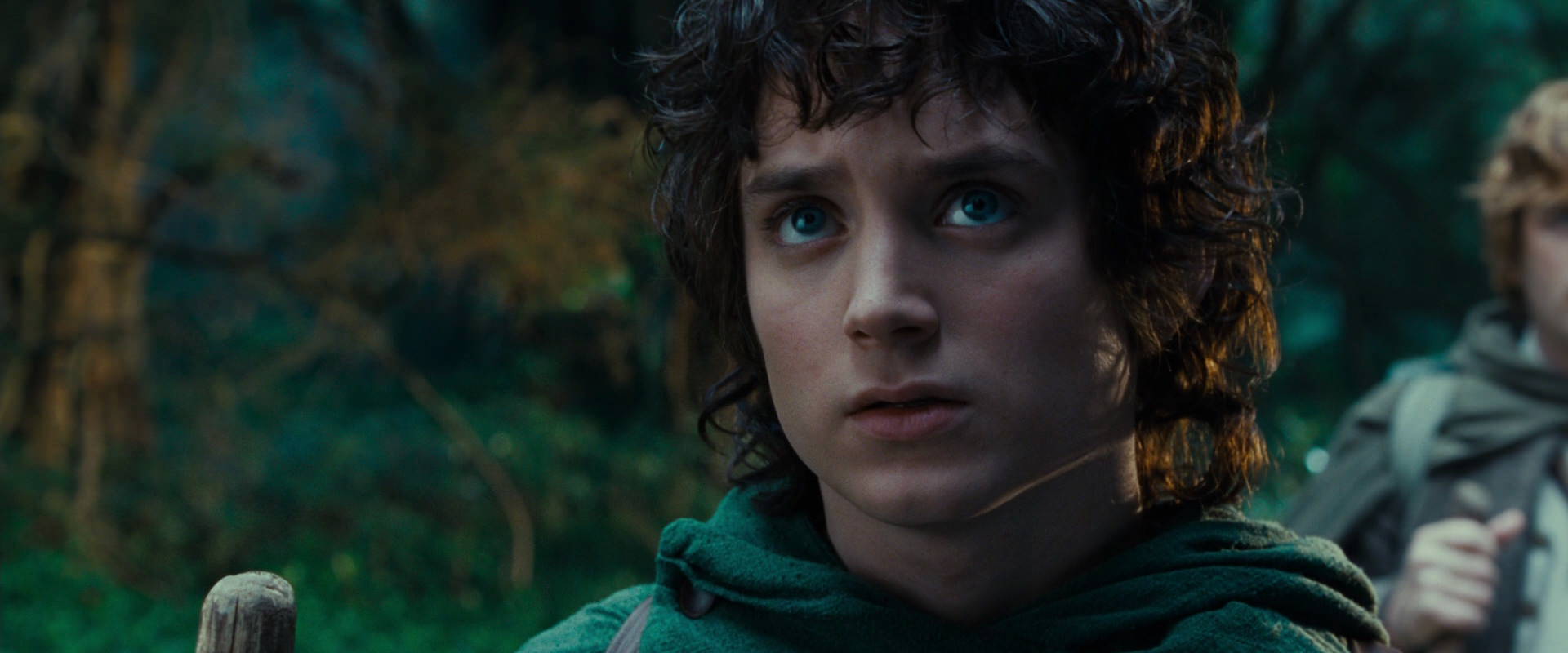 The Lord of the Rings: The Fellowship of the Ring (2001) HD screenshot 4955
