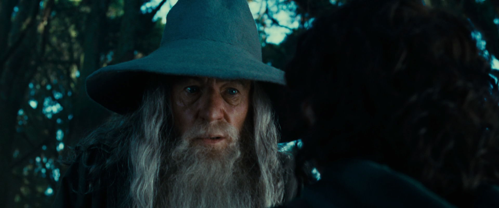 The Lord of the Rings: The Fellowship of the Ring (2001) HD screenshot 4958