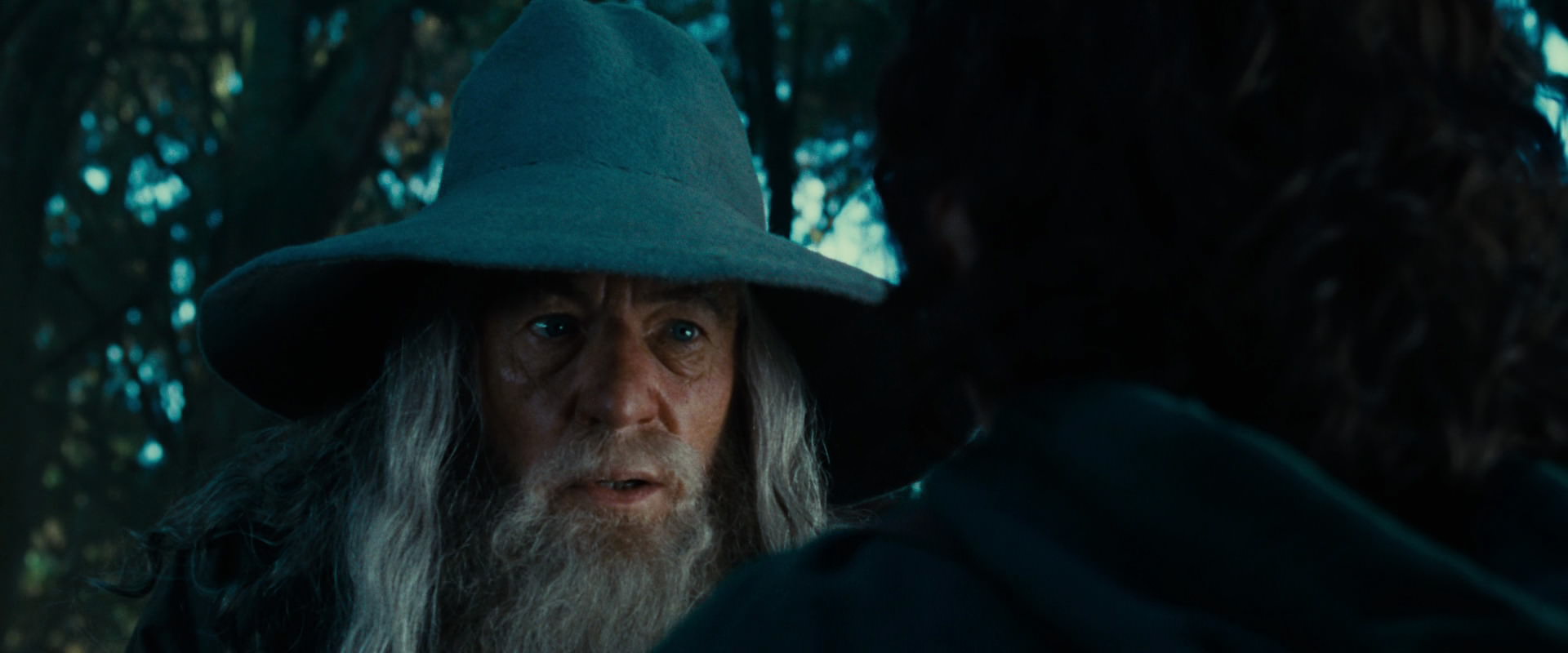 The Lord of the Rings: The Fellowship of the Ring (2001) screencap 4959