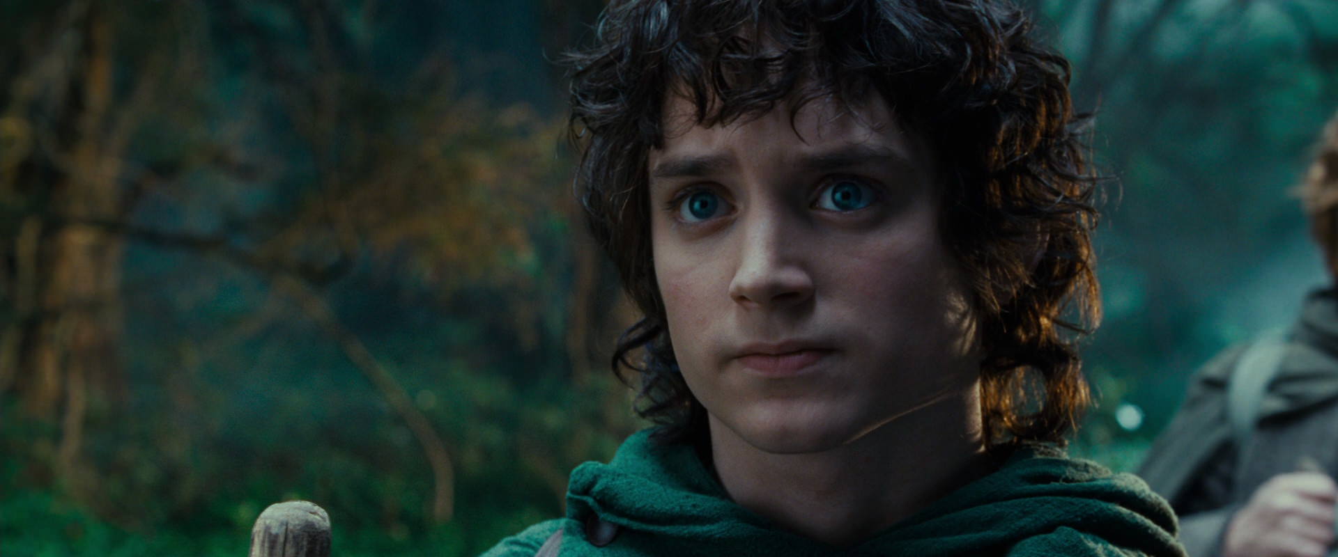 The Lord of the Rings: The Fellowship of the Ring (2001) movie still 4963