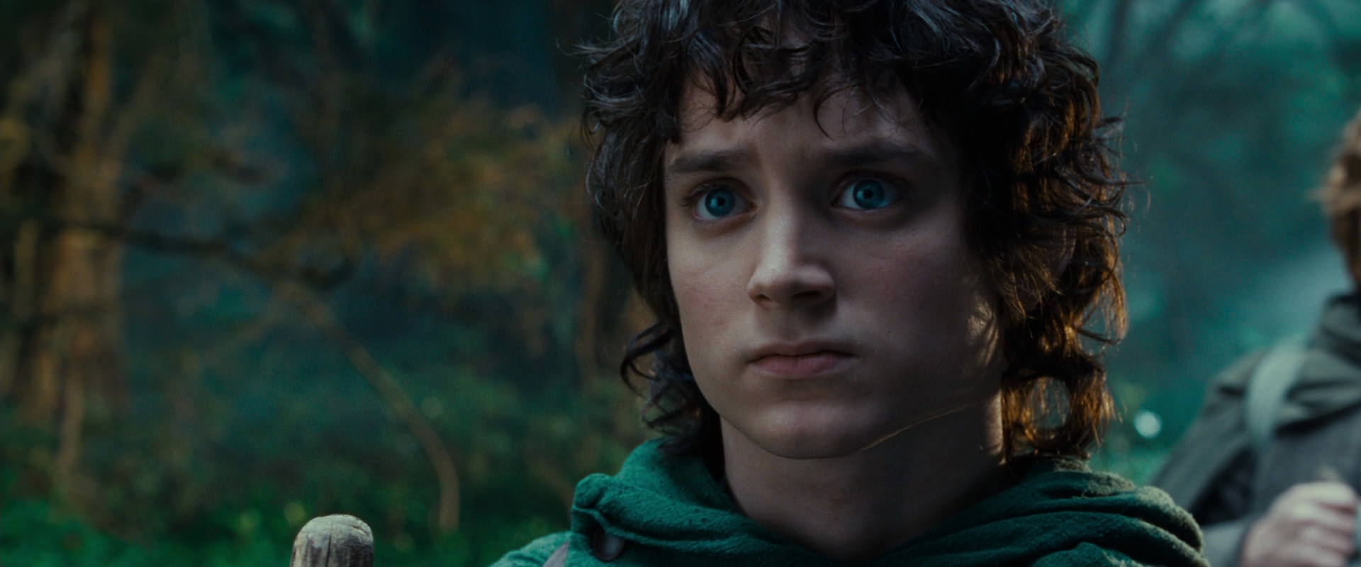 The Lord of the Rings: The Fellowship of the Ring (2001) HD screenshot 4964