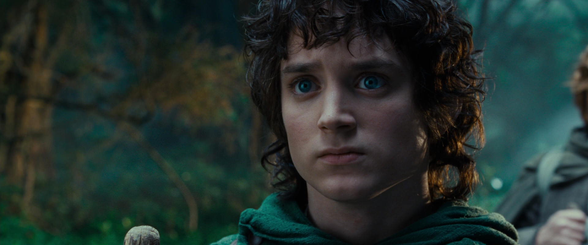 The Lord of the Rings: The Fellowship of the Ring (2001) screencap 4965