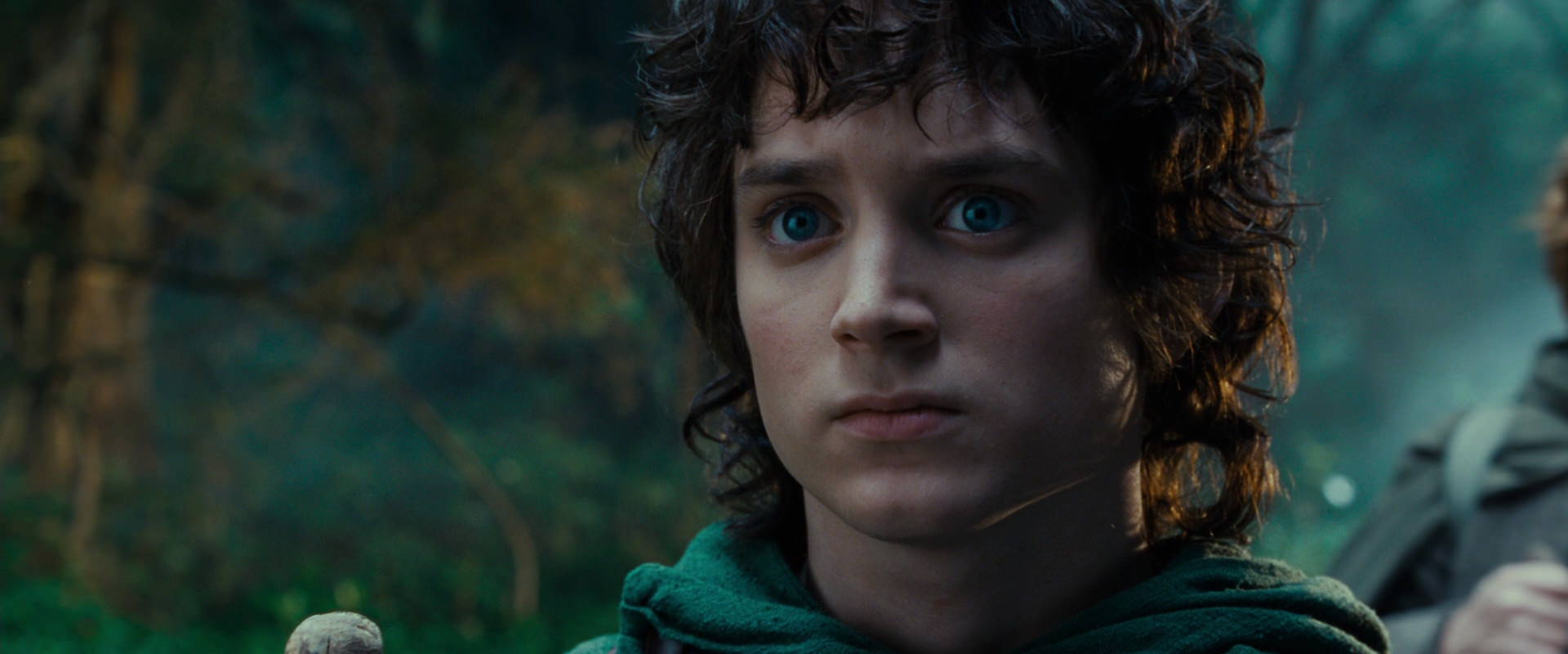 The Lord of the Rings: The Fellowship of the Ring (2001) movie still 4966