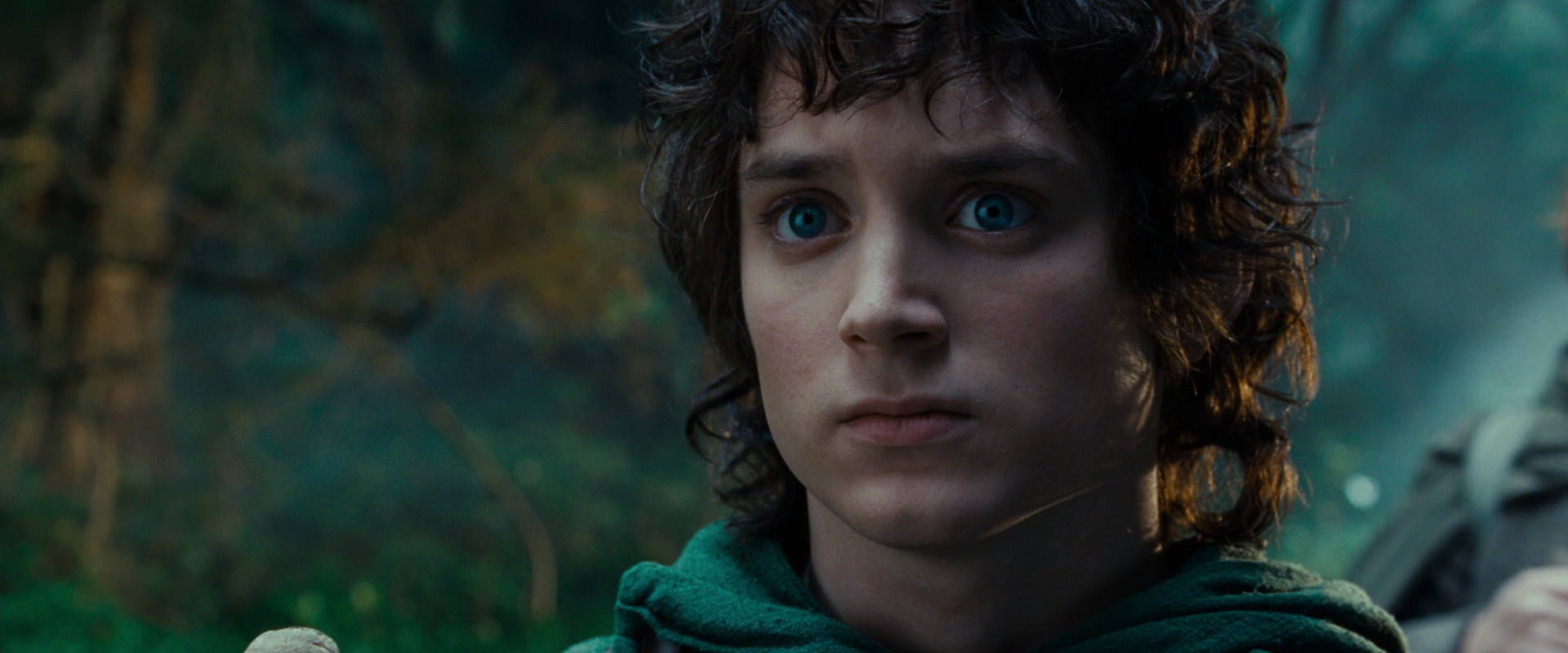The Lord of the Rings: The Fellowship of the Ring (2001) HD screenshot 4967