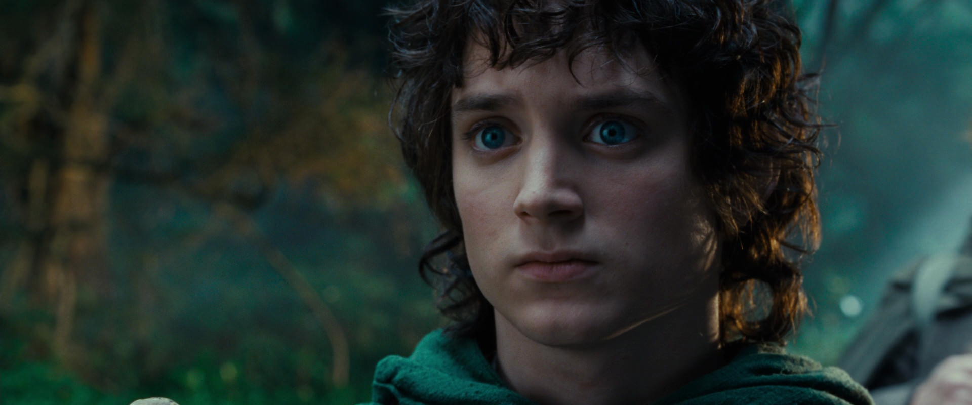 The Lord of the Rings: The Fellowship of the Ring (2001) screencap 4968
