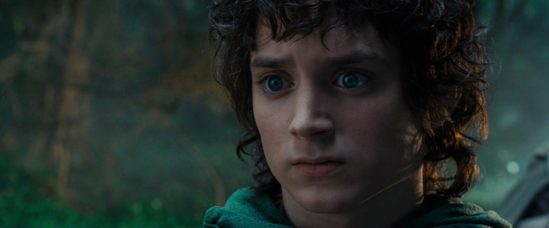The Lord of the Rings: The Fellowship of the Ring (2001) HD screenshot 4985