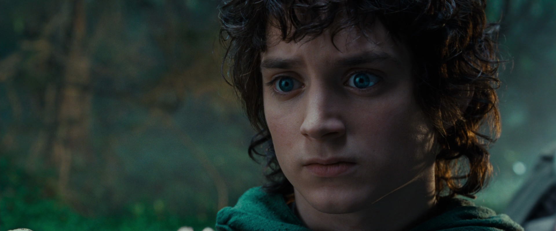 The Lord of the Rings: The Fellowship of the Ring (2001) screencap 4986