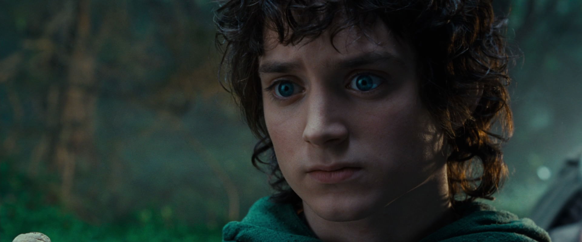 The Lord of the Rings: The Fellowship of the Ring (2001) movie still 4987