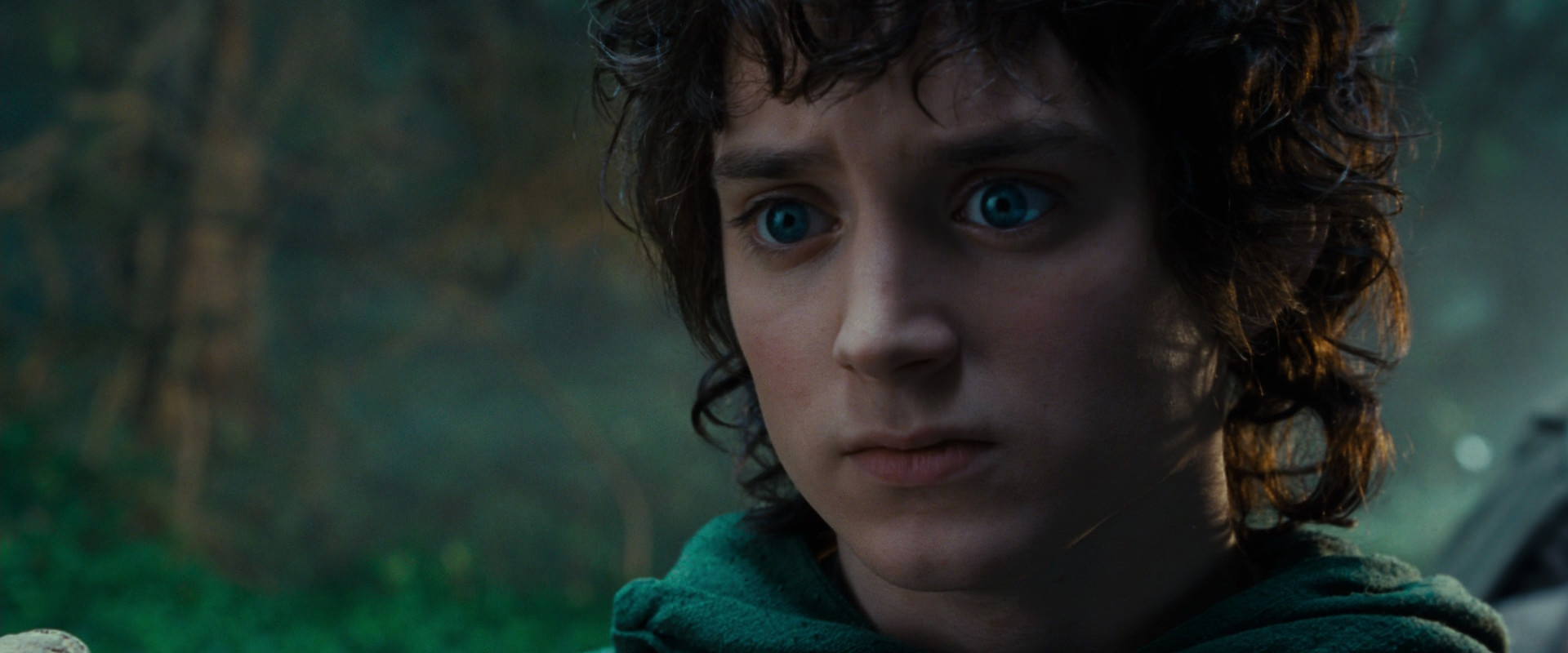 The Lord of the Rings: The Fellowship of the Ring (2001) HD screenshot 4988