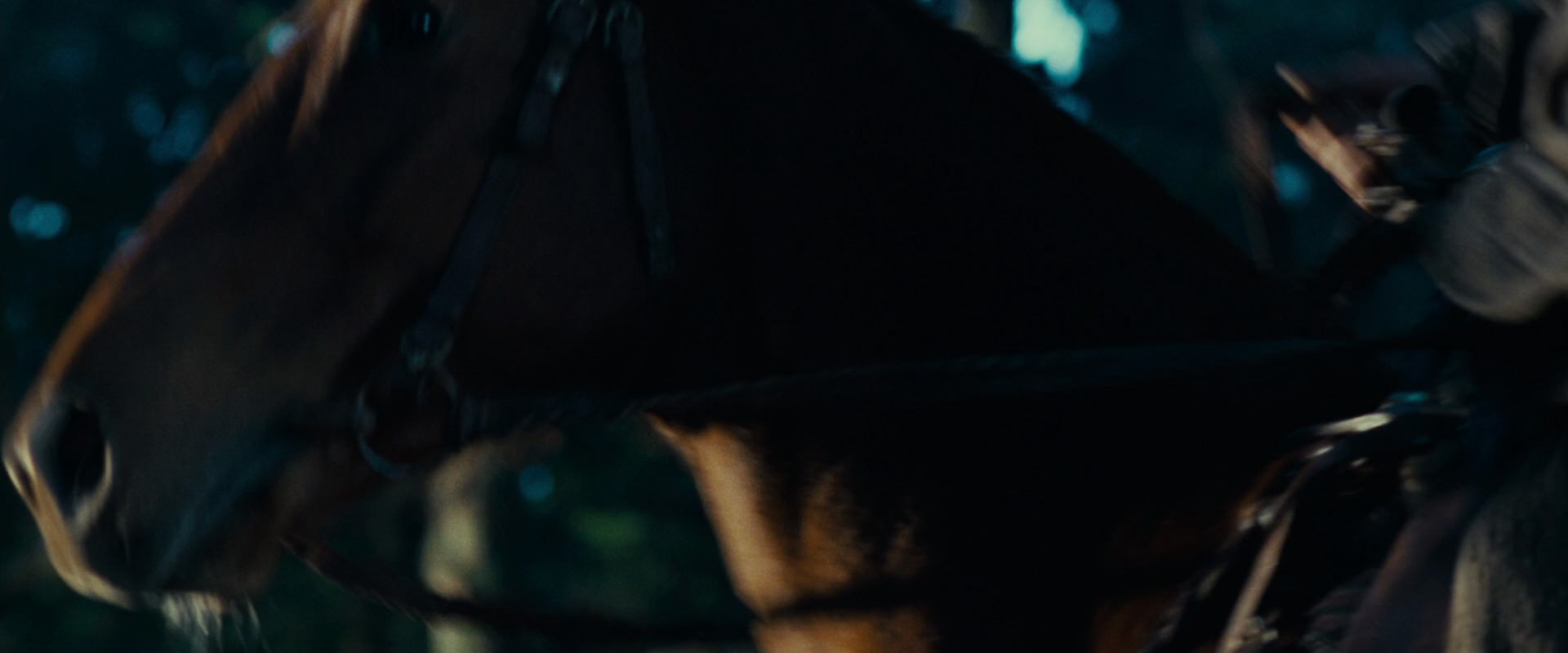 The Lord of the Rings: The Fellowship of the Ring (2001) screencap 4989