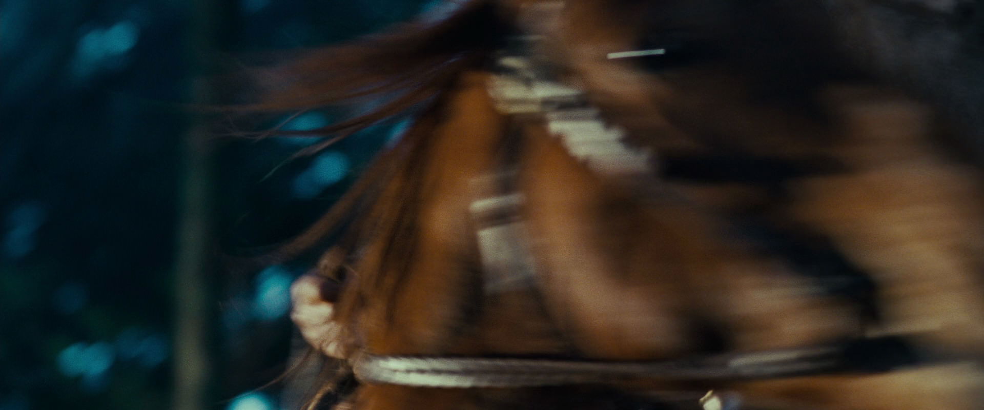 The Lord of the Rings: The Fellowship of the Ring (2001) movie still 4990
