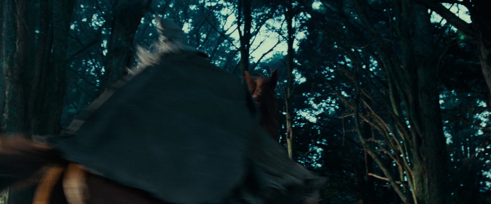 The Lord of the Rings: The Fellowship of the Ring (2001) HD screenshot 4991