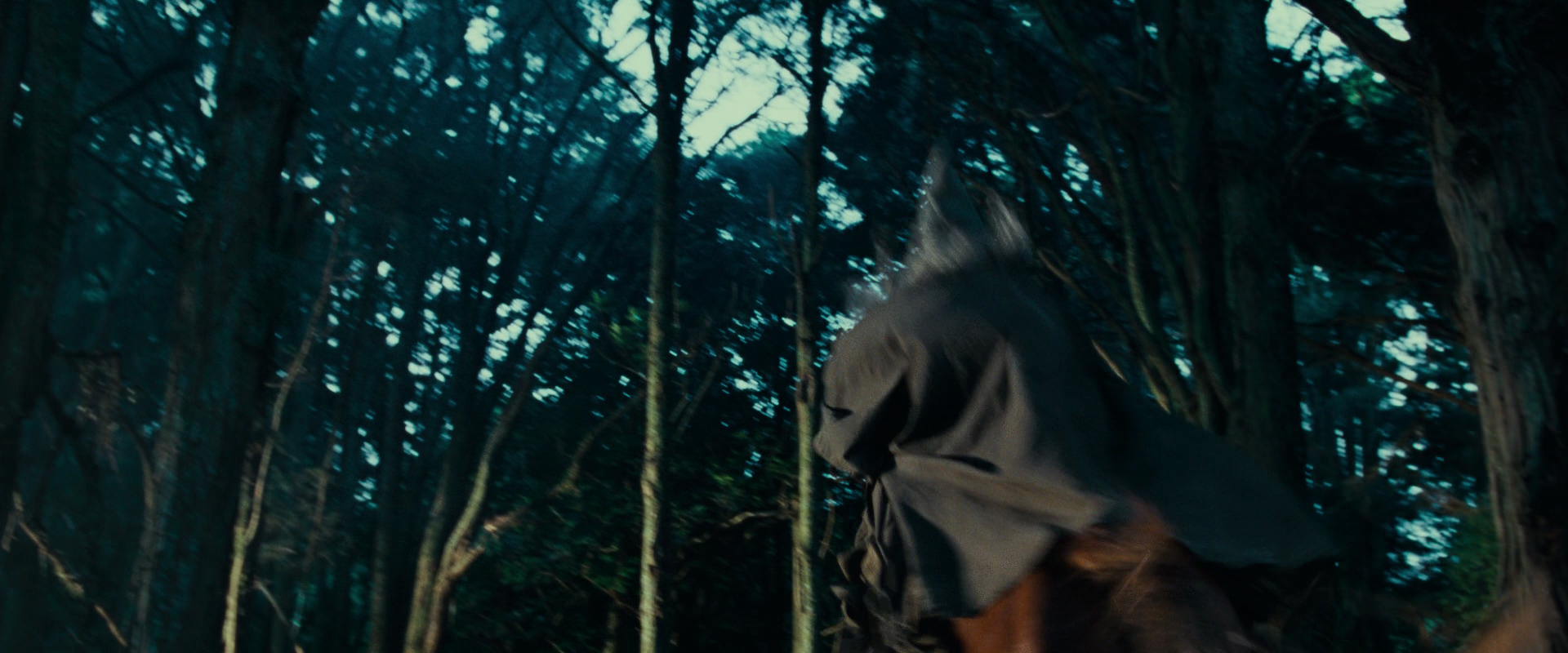 The Lord of the Rings: The Fellowship of the Ring (2001) screencap 4992