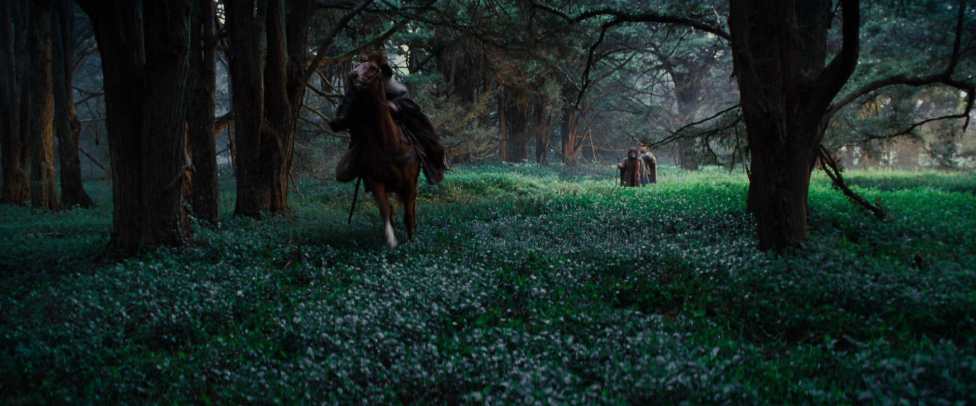 The Lord of the Rings: The Fellowship of the Ring (2001) movie still 4993