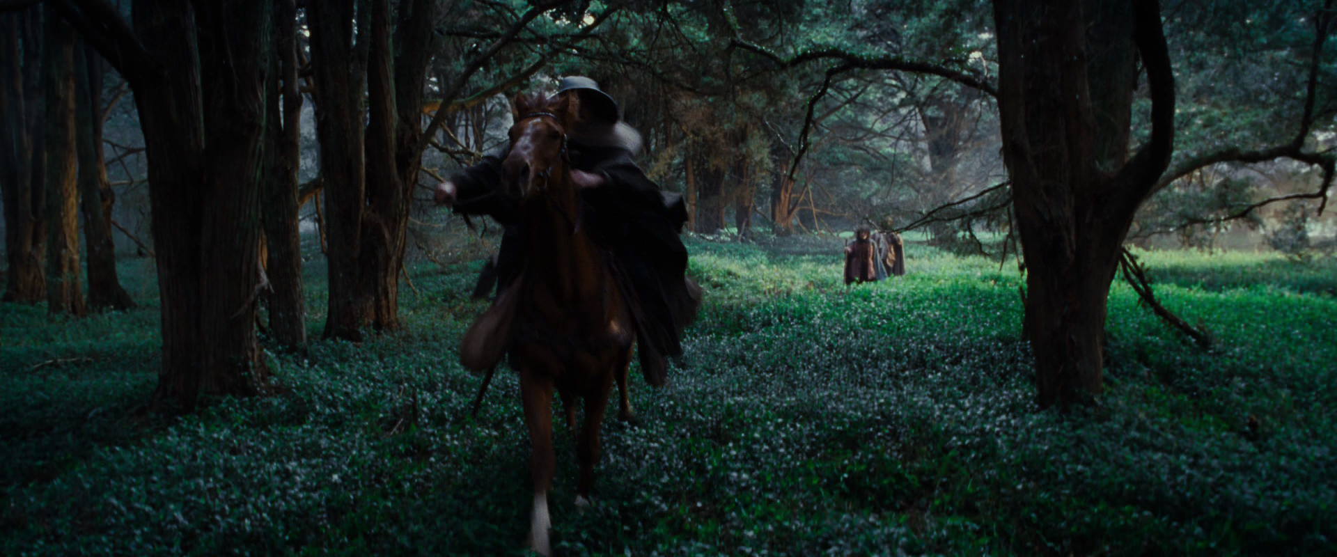 The Lord of the Rings: The Fellowship of the Ring (2001) HD screenshot 4994