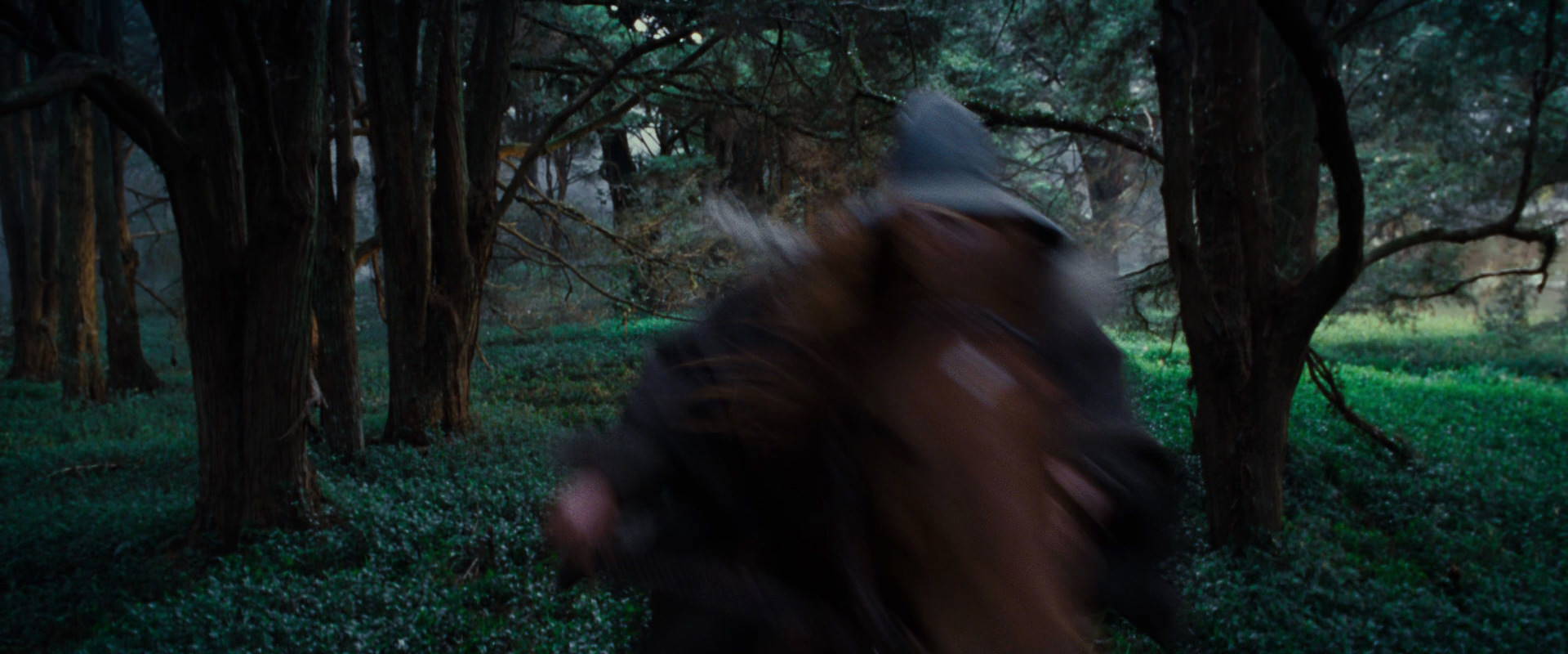 The Lord of the Rings: The Fellowship of the Ring (2001) screencap 4995