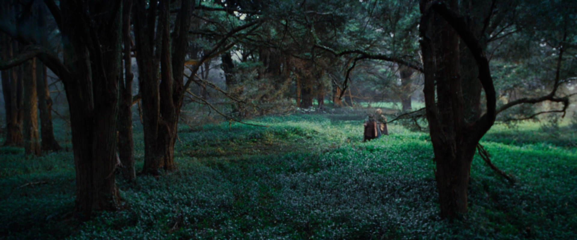 The Lord of the Rings: The Fellowship of the Ring (2001) movie still 4996