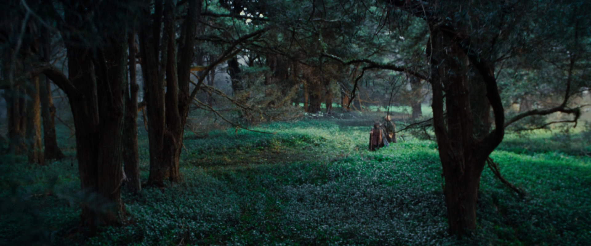 The Lord of the Rings: The Fellowship of the Ring (2001) HD screenshot 4997