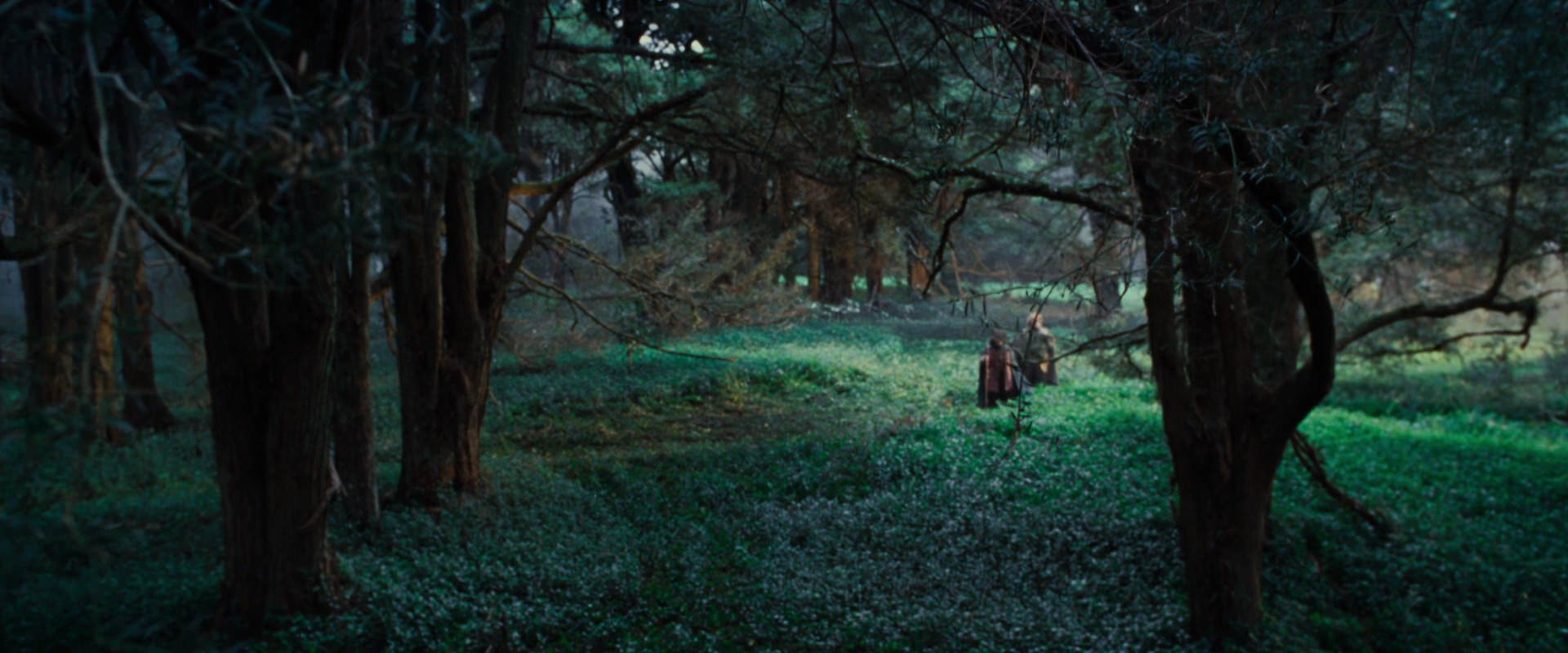 The Lord of the Rings: The Fellowship of the Ring (2001) screencap 4998