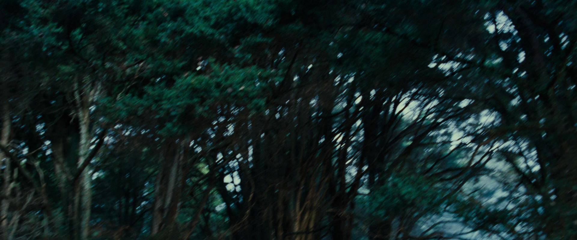 The Lord of the Rings: The Fellowship of the Ring (2001) movie still 4999