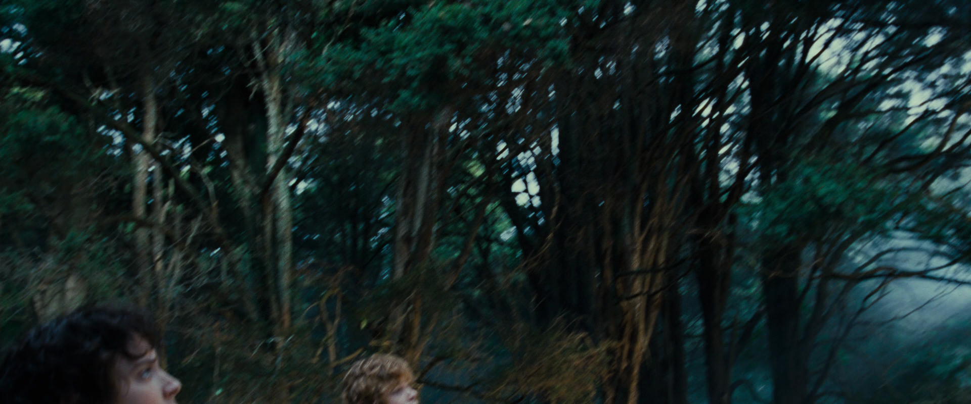The Lord of the Rings: The Fellowship of the Ring (2001) HD screenshot 5000