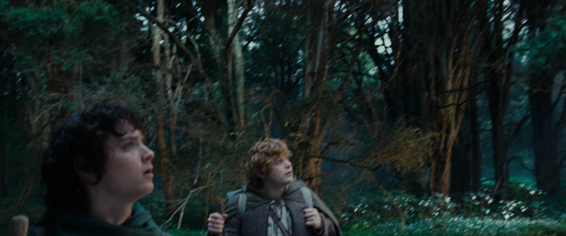 The Lord of the Rings: The Fellowship of the Ring (2001) screencap 5001
