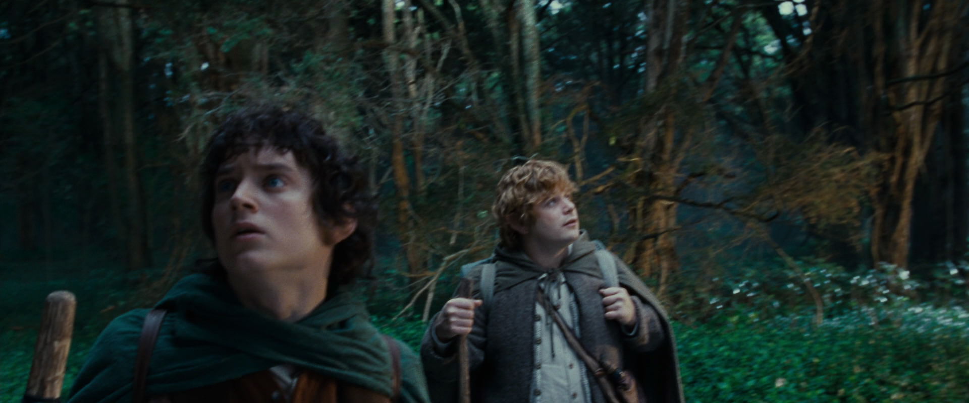 The Lord of the Rings: The Fellowship of the Ring (2001) movie still 5002